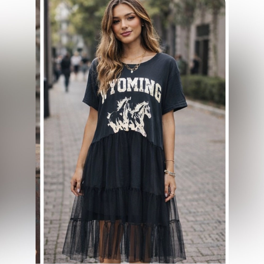 🆕  Tricia Fix Free People Wyoming Tulle Dress/Top/Tunic ****Sold out at FP